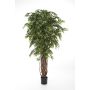 Kunst Ficus Benjamini ALIRIO, Naturstämme, grün, 210cm