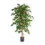 Kunststoff Ficus Benjamina THIAGO, Naturstämme, grün, 180cm