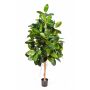 Künstlicher Gummibaum DEVI, Naturstamm, grün, 210cm