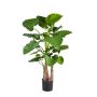 Dekopflanze Alocasia Calidora SURI, grün, 120cm