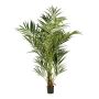 Kunst Kentia Palme OMAYRA, 225cm