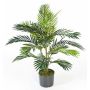 Dekopalme Areca JENNICA, 90cm