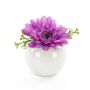 Samt Gerbera IMINA im Keramiktopf, lila, 12cm, Ø15cm