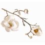 Dekozweig Magnolie KOSTAS, weiß, 55cm, Ø6-8cm