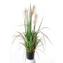Deko Schilfgras EYOTA mit Rispen, grün-braun, 80cm
