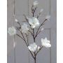 Kunstzweig Magnolie YONA, creme-weiß, 130cm, Ø5-15cm