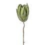 Nadelkissen Protea künstlich LINDAR, grün, 70cm