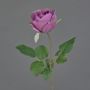 Deko Kunstblume Rose POPI, violett-grün, 55cm, Ø7cm