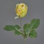 Deko Kunstblume Rose POPI, gelb-grün-rosa, 55cm, Ø7cm