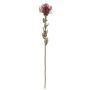 Dekoblume Nadelkissen Protea URMINE, Trockenoptik, burgunderrot, 60cm