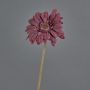 Dekoblume Gerbera TUNGUSKA, Trockenoptik, burgunderrot, 55cm, Ø11cm