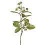 Künstlicher Hartriegel Zweig PANGO mit Knospen, grün-weiß, 70cm