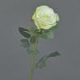 Samt Rose HUSA, weiß-grün, 75cm, Ø10cm