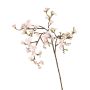 Deko Apfelblütenzweig SADAKA mit Blüten, hellrosa, 95cm, Ø1,5-4cm