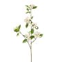Deko Zweig Zierkirsche RETLOZ mit Blüten, weiß, 90cm