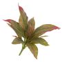 Kunst Cordyline VALDA zum Stecken, rot-grün, 30cm