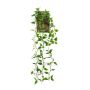 Kunst Hängepflanze Philodendron scandens SAELFES auf Steckstab, 85cm