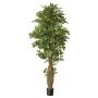 Dekopflanze Ficus Benjamini ALMINKO, Naturstamm, grün, 330cm