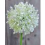 Unechter Allium HELLA, Glitzer, creme-grün, 45cm, Ø8cm