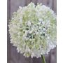 Unechter Allium HELLA, Glitzer, creme-grün, 75cm, Ø11cm