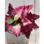 Plastik Echeveria rosea ENRICA, Steckstab, rot-grün, 12cm, Ø13cm