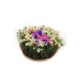 Deko Blumengesteck Anemone Gänseblümchen IKAIA, bunt, 12cm, Ø20cm