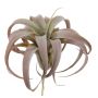Kunst Pflanze Tillandsia Xerographica KASTIEL, Steckstab, braun-grün, 23cm