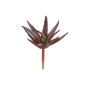 Kunststoff Agave decipiens KIANU, Steckstab, burgunderrot-grün, 9cm