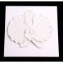Wandbild Phalaenopsis Orchidee LAMINA, weiß, 21x21cm