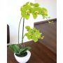 Deko Phalaenopsis Orchidee AURELIA im Keramiktopf, grün, 55cm