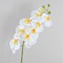 Dekozweig Phalaenopsis Orchidee OPHELIA, weiß, 100cm, Ø9-12cm