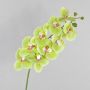 Dekozweig Phalaenopsis Orchidee OPHELIA, grün-pink, 100cm, Ø9-12cm
