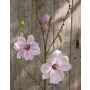 Kunst Magnolienzweig FINAH, rosa, 90cm, Ø9-15cm