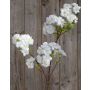 Kunst Kirschblütenzweig MATSUDA mit Blüten, creme-weiß, 80cm, Ø6-11cm