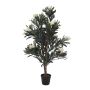 Dekobaum Oleander MINOU, Echtstämme, blühend, weiß, 120cm