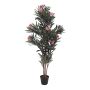 Dekobaum Oleander MINOU, Echtstämme, mit Blüten, rosa, 150cm