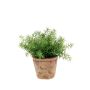 Kräuter künstlich Asparagus sprengeri LUCANO, Terracotta Topf, 20cm, Ø20cm