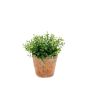 Kräuter künstlich Eukalyptus LUCANO im Terracotta Topf, grün, 20cm, Ø20cm