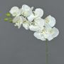 Künstlicher Phalaenopsis Orchideen Zweig GALINA, weiß, 60cm, Ø6-8cm