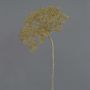 Plastik Bärenklau ANSARI, Trockenoptik, braun, 80cm, Ø22cm