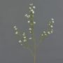 Kunst Wachsblume NIANG, creme, 80cm, Ø1,5-2,5cm