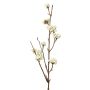 Deko Liebesperlenstrauch Zweig LARINA mit Beeren, creme, 50cm