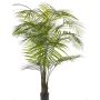Kunstpalme Areca MELMAN, crossdoor, 175cm