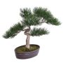 Kunstbonsai Pinie ARATA mit Wurzeln, in Dekoschale, 45cm
