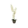 Textil Orchidee Phalaenopsis KATALIN, Dekotopf, creme, 80cm