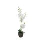 Textil Orchidee Phalaenopsis KATALIN, Dekotopf, weiß, 80cm