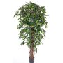 Ficus Benjamini Kunstpflanze BERGLIND, Naturstämme, grün, 150cm
