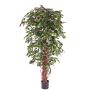 Ficus Benjamini Kunstpflanze BERGLIND, Naturstämme, grün, 180cm