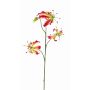 Deko Gloriosa TIANA, pink-gelb, 85cm, Ø9-10cm