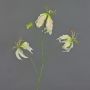 Deko Gloriosa TIANA, creme-grün-rosa, 85cm, Ø9-10cm